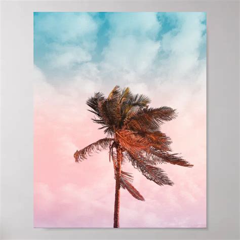 Rainbow Palm Tree Beach Photo Poster Zazzle