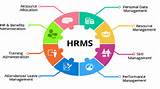 It Hr Management