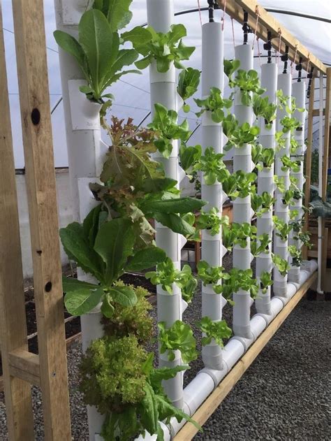 Pin On Aquaponic Systems