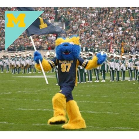 Biff The Wolverine Was A Live Wolverine Who Served As A Team Mascot At