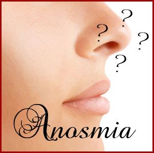 Anosmia is nothing but the salient loss of smell that the majority of us often tend to struggle with, because of certain conditions that affect this. This Blog Really Stinks. (A perfume blog): Fragrance ...