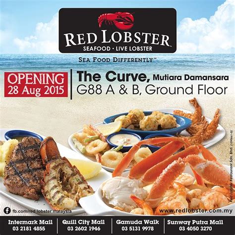 Mutiara damansara merupakan satu kawasan perumahan dan komersial yang baru yang dimiliki mutiara rini sdn bhd, anak syarikat kumpulan boustead, di daerah petaling, selangor. NEW: RED LOBSTER OPENING @ THE CURVE MUTIARA DAMANSARA (28 ...