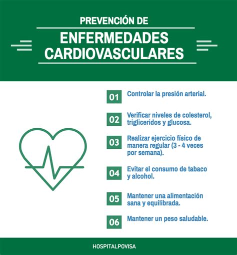 ¿cómo Debemos Prevenir Las Enfermedades Cardiovasculares