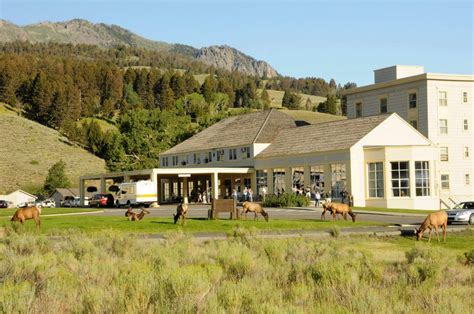 Mammoth Hot Springs Hotel And Cabins Yellowstone National Park Lodges