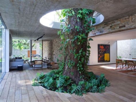 13 Genius Designs That Used Trees