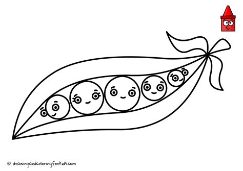 Drawing Vegetables Coloring Page Vegetables How To Draw Peas In A