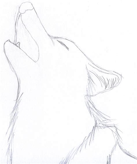 Images Easy Drawings Of Wolves Head Beginner Sketches Cool Easy