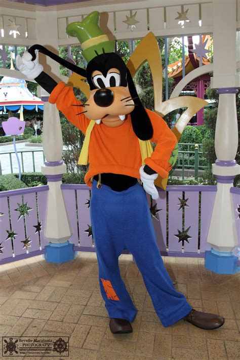 Image New Goofy Costume Mask Photoshoppng Disney Wiki Fandom