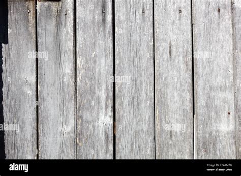 Wooden Wall Planking Texture Of Grey Wooden Fence Background Of Old