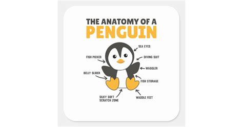 Funny Explanation Of A Penguin The Anatomy Square Sticker Zazzle