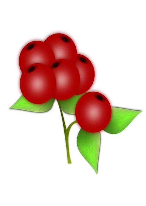 Red Berries Clipart 20 Free Cliparts Download Images On Clipground 2022