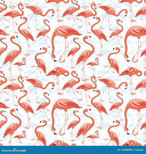 Seamless Pattern With Pink Flamingos Stock Vector Illustration Of