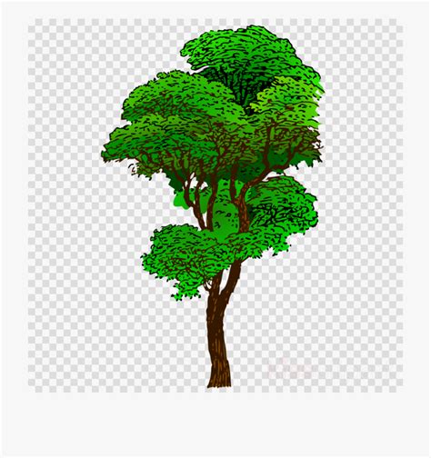 Download High Quality Clipart Tree Rainforest Transparent Png Images