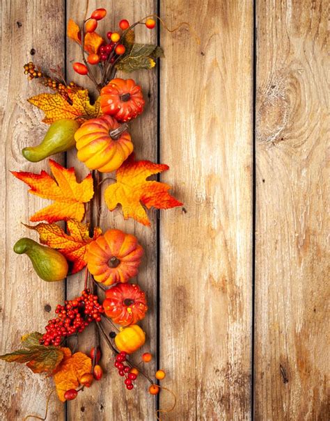 Festive Autumn Decor From Pumpkins Berries And Leaves On A Rustic