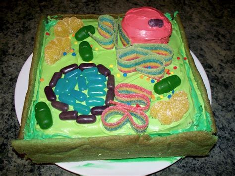 3d Plant Cell Cake 3 For A Step By Step How To Guide To Flickr