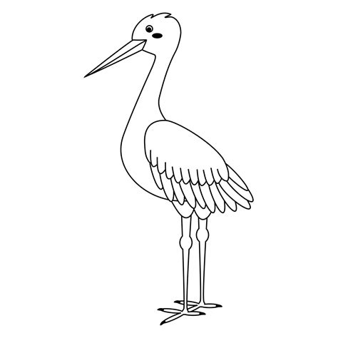 Cute Cartoon Stork Bird Line Art 23711322 Vector Art At Vecteezy