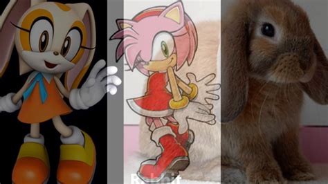 Personajes De Sonic En La Vida Real Youtube