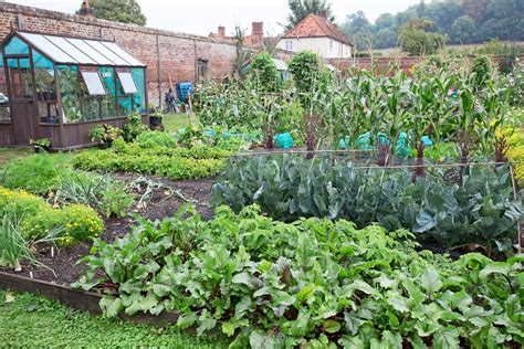 How To Make A Vegetable Patch Bbc Gardeners World Magazine