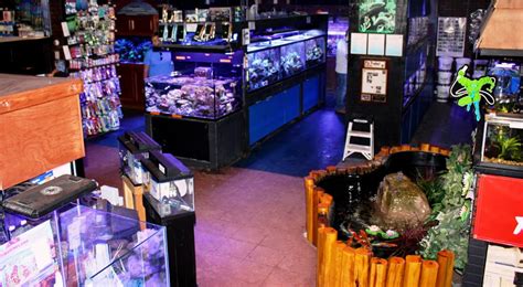 Absolutely Fish New Jerseys Supplier Of Reef Aquarium Natural
