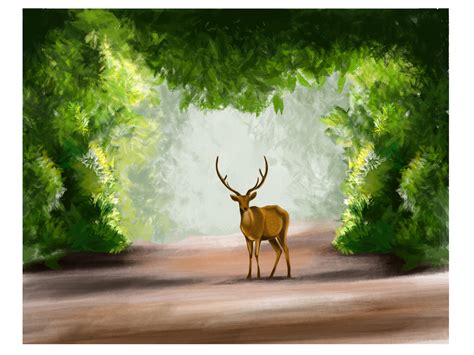 Nature By Midhun On Dribbble