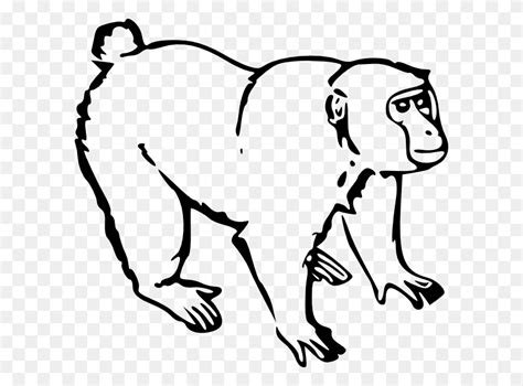 Spider Monkey Clipart Monkey Clipart Black And White Stunning Free
