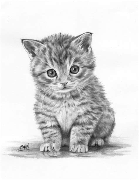 The 25 Best Realistic Cat Drawing Ideas On Pinterest How To Draw