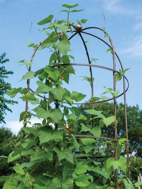 Gardeners Supply Company Jardin Tower 8 Foot Tall Powder