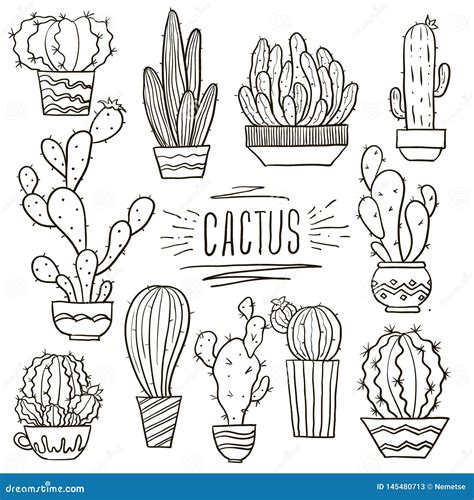 Set Of Cacti Doodle Hand Drawn Stock Vector Illustration Of