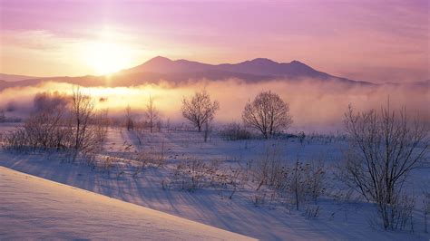 Nature Landscape Winter Sunrise Mist Mountain Snow Shrubs Cold