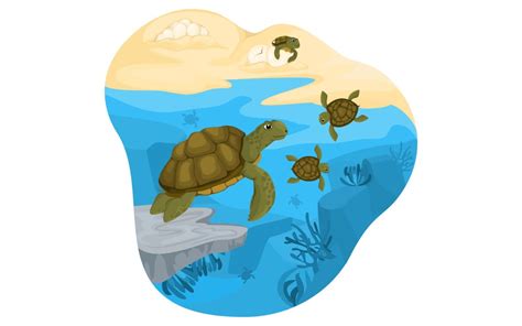 Turtle Life Cycle Illustration Vector Illustration Concept Free