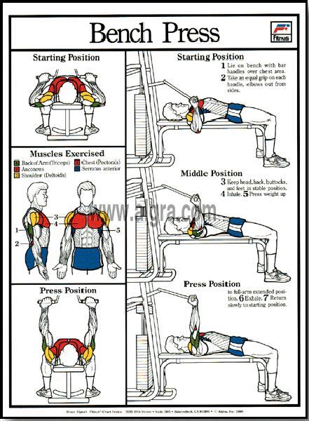Seeking Out More About Bench Press At Home Then Read On Seatedbenchpress Bench Press