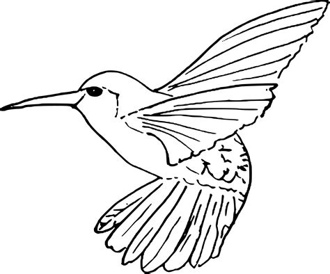 Coloriage d'un oiseau qui vole à imprimer sur Coloriage DE .com