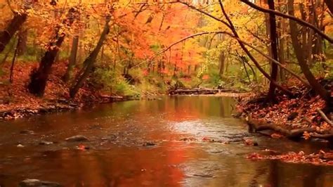 Beautiful And Colorful Autumn Scenery Doovi