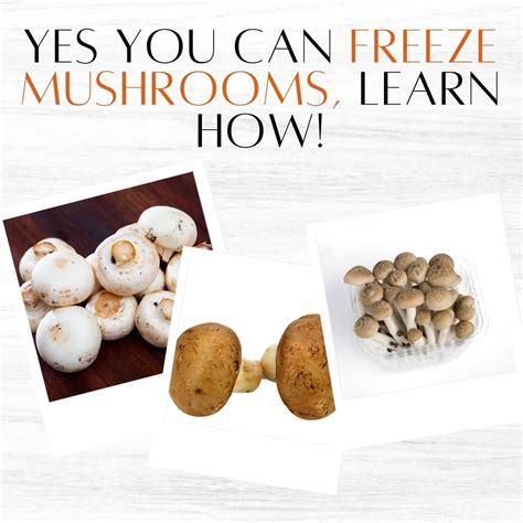 Can You Freeze Mushrooms Heres How To Get It Right