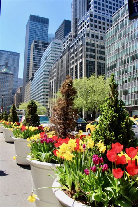 The Arrival Of Spring In New York Or Did We Just Skip Straight To Summer