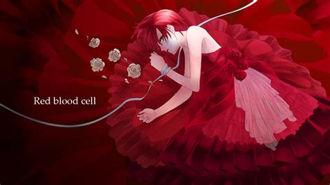Red Blood Cell 4k 8k Hd Cells At Work Hataraku Saibou Wallpaper