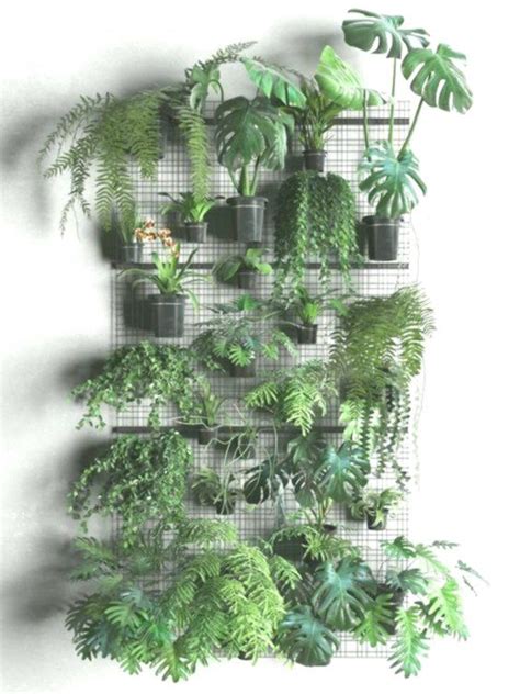 Piante da interno con foglia. 62 Parete per piante da interno per interni semplice e impressionante (2020) | Piante da interno ...