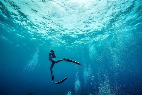 The Big Blue Astonishing Underwater And Freediving Photography By