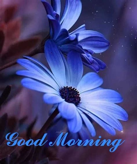 Fantastic Good Morning Blue Flower Pic Good Morning Pictures