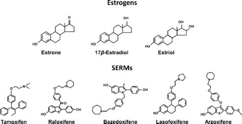 Structural Diversity Of Estrogens And Selective Estrogen Receptor