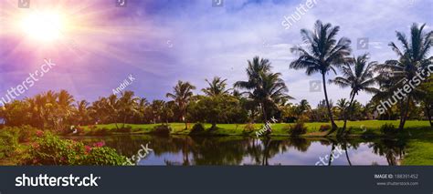 Tropical Mountain Forest Palm Trees Sunlight Stock Photo 188391452