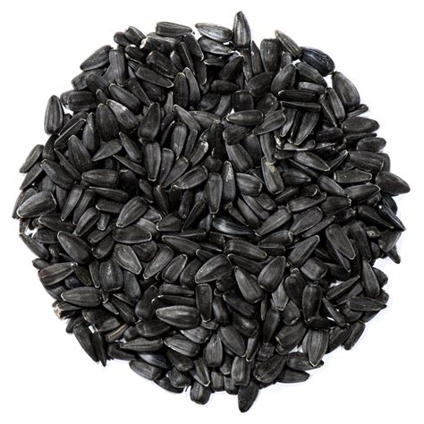 Premium Black Oil Sunflower Seed Blue Ridge Bird Seed Co