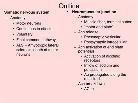 Ppt Chapter 7 The Peripheral Nervous System Efferent Division