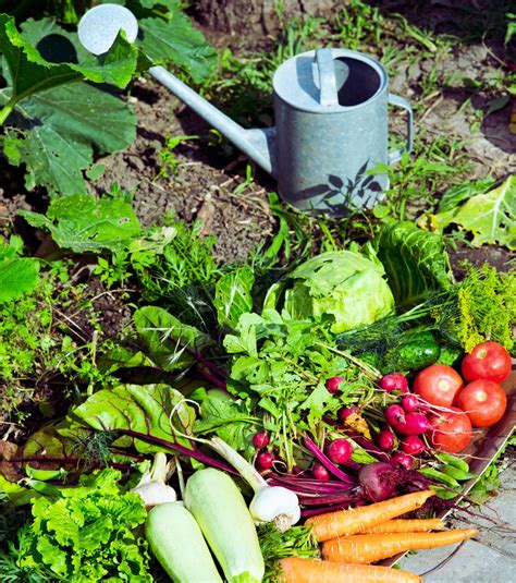 Brand Guidelines Why You Need Them - vrogue.co