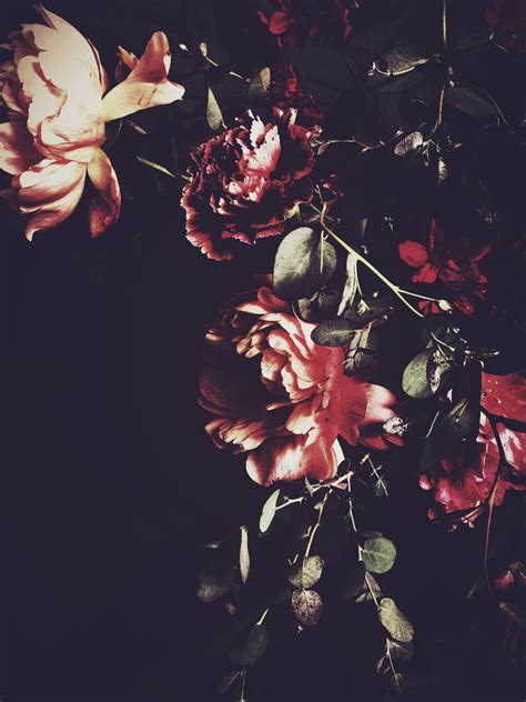 Anime, vaporwave, aesthetic, people, unrecognizable person. Flower Wide Aesthetic Dark Wallpapers - Wallpaper Cave