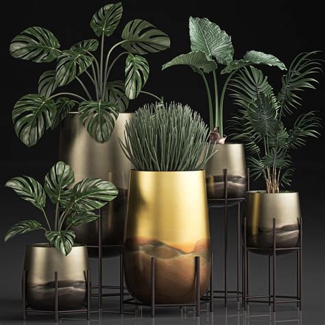 Decorative Plants In Luxury Gold Pots For The Interior 544 3d Model
