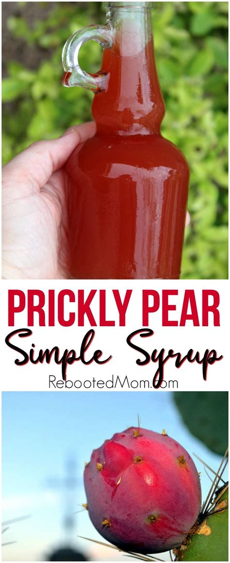 I also added one more chipotle pepper and a little more sugar. How to Make Prickly Pear Syrup in 2020 | Prickly pear ...