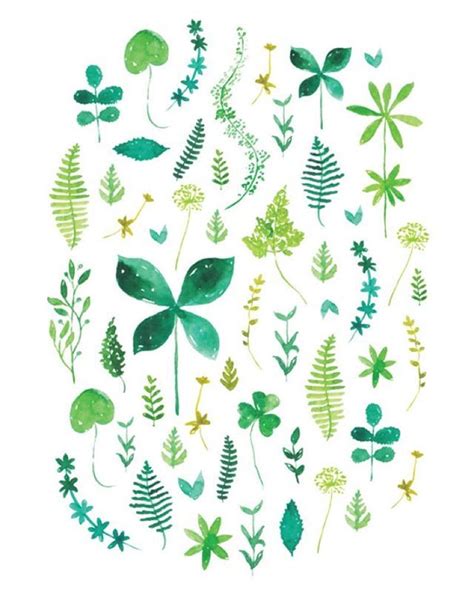 Botanical Illustration By Nathalie Ouederni Nathalieouedernietsy