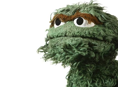 Happy National Grouch Day Sesame Street Gets Its Own Holiday E Online