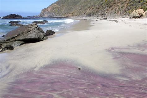 Purple Sand Beach Pfeiffer Beach Visit California And Beyond